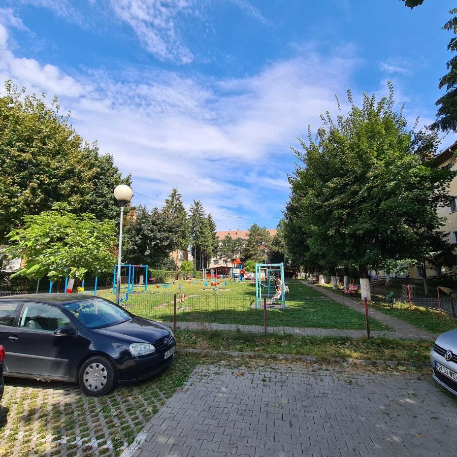 My Cozy Nest - 2 Rooms Apartment Târgu-Mureş Esterno foto